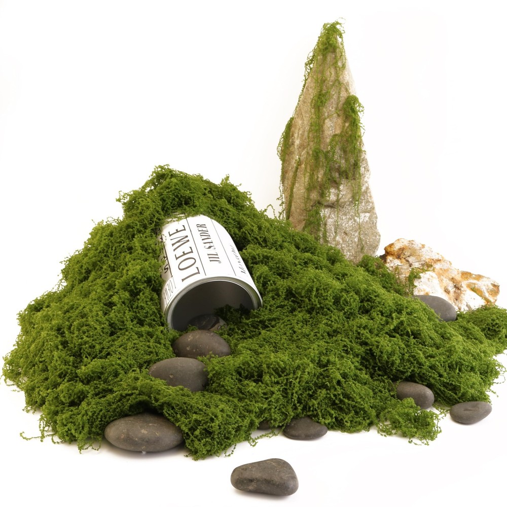 Dark Green Simulated Moss, Artificial bryophytes, Suitable for Moss Decoratio...