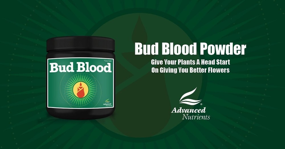 Advanced Nutrients Bud Blood Powder