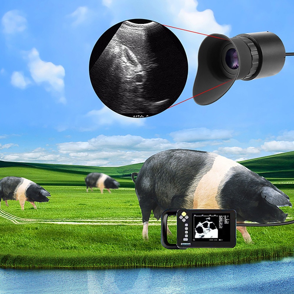 V760C-3 Wearing Large HD Screen Portable Display Head Mounted Display Modules