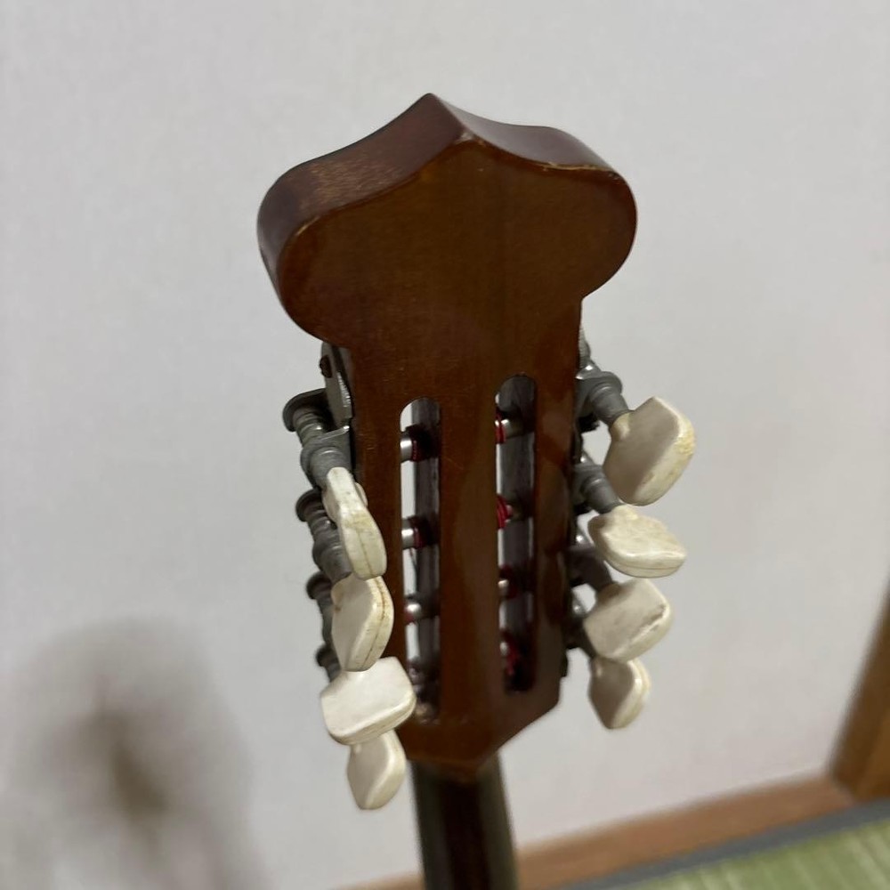 Raffaele Terada Musical Instruments High End Mandolin RM-3 String Guitar