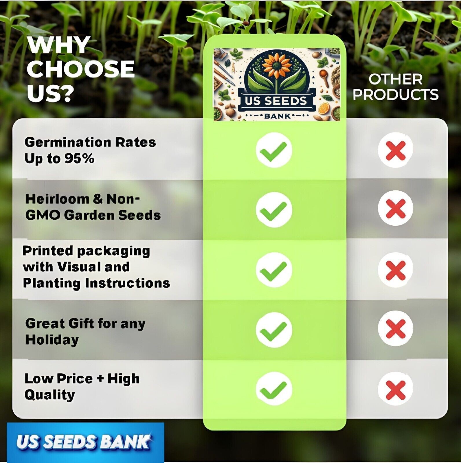 50 Heirloom Blue Butterfly Coleus Seeds – Rare Ornamental Foliage Plant – Vibran