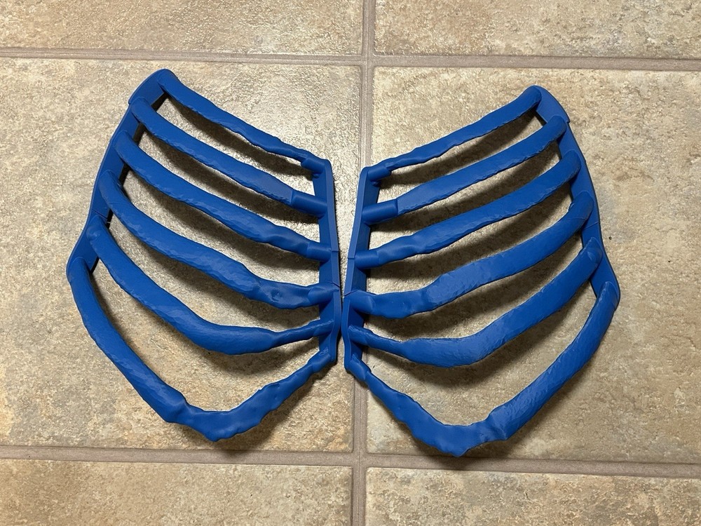 Full Size Training Human Ribs Rib Cage