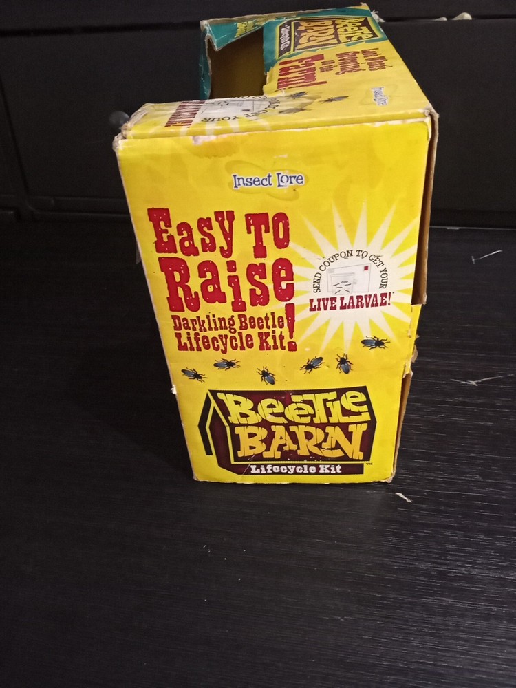 BEETLE FARM Insect Lore Lifecycle Kit