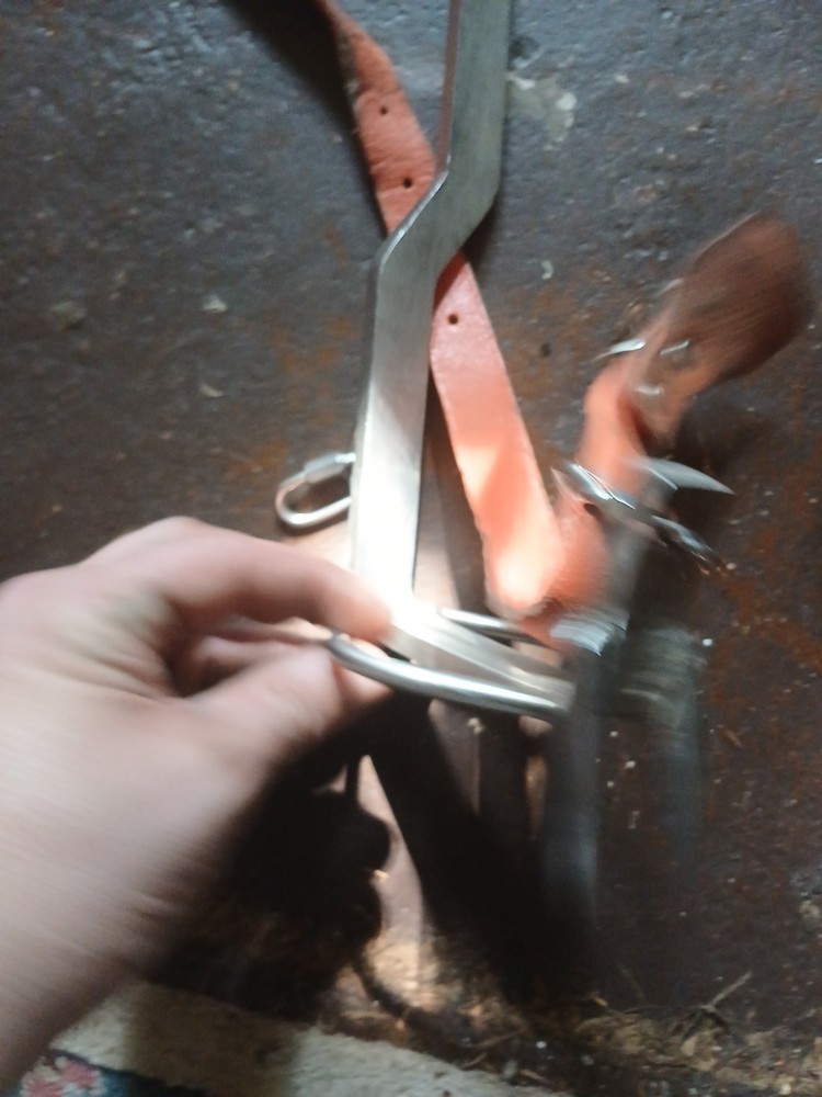 tree climbing gear used