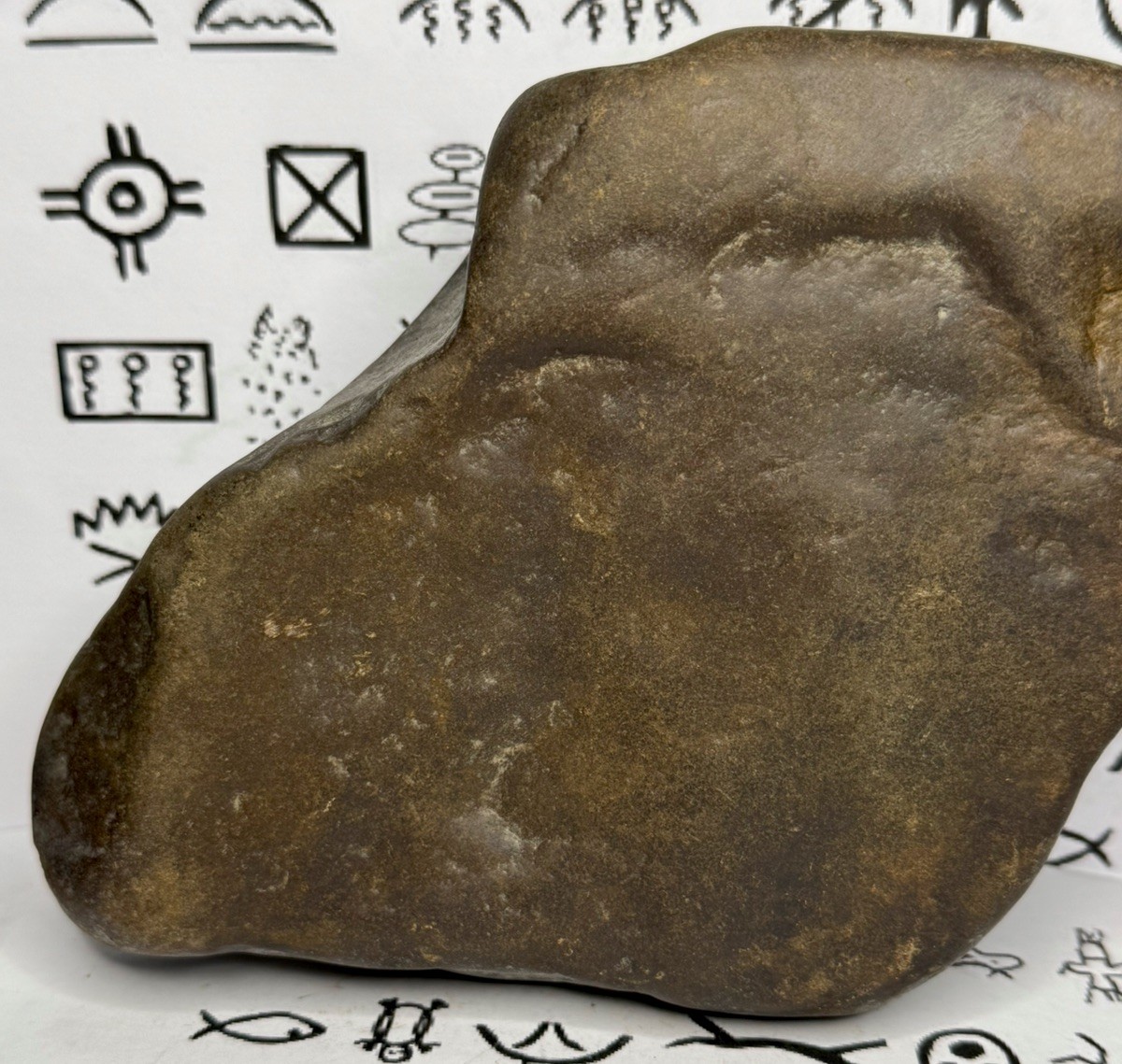 Native American Indian Authentic Artifact Stone Carved Effigy, 3 lb 14 oz • VA