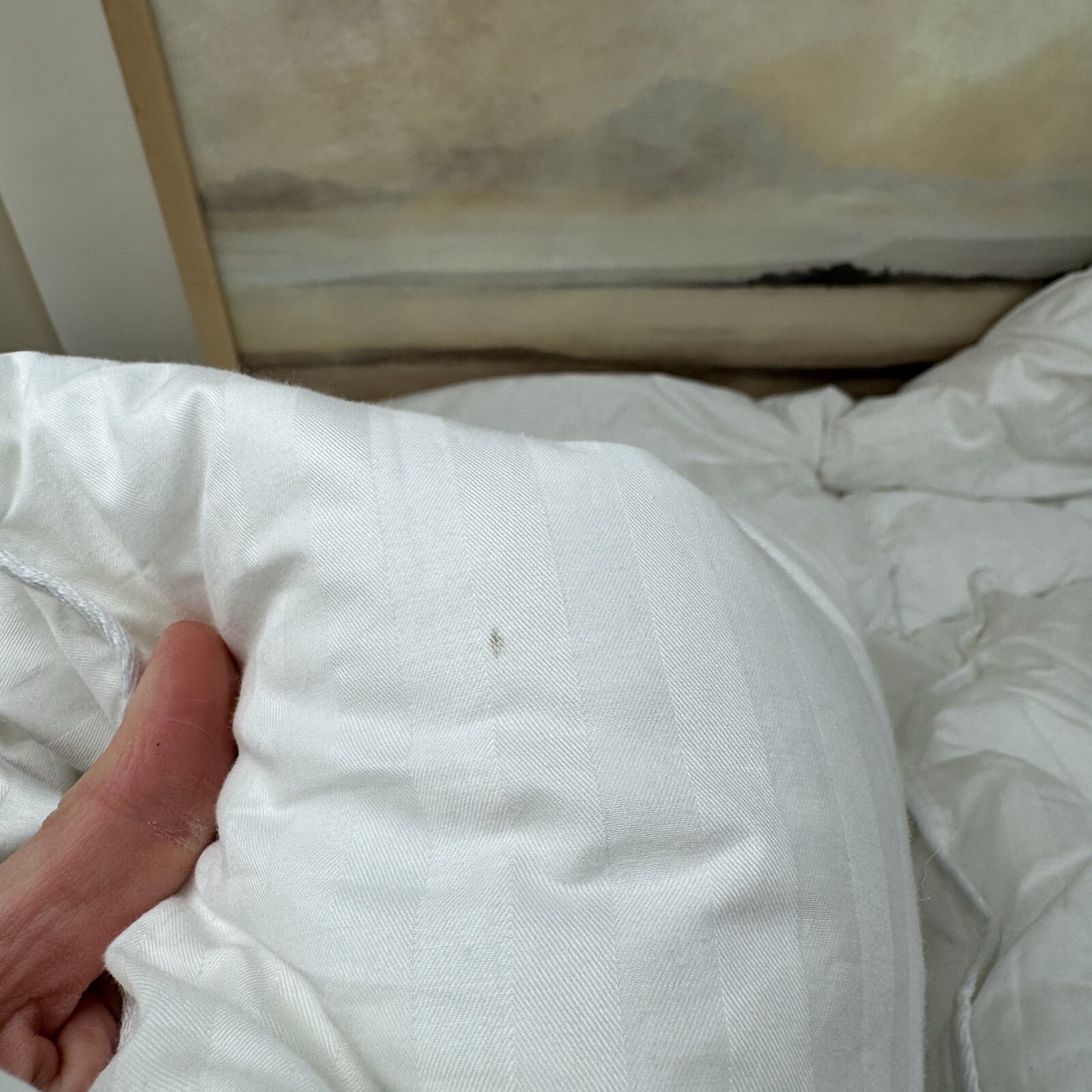 Pottery Barn Hydrocool Moisture Wicking Down Alternative Duvet Insert F/Q Read