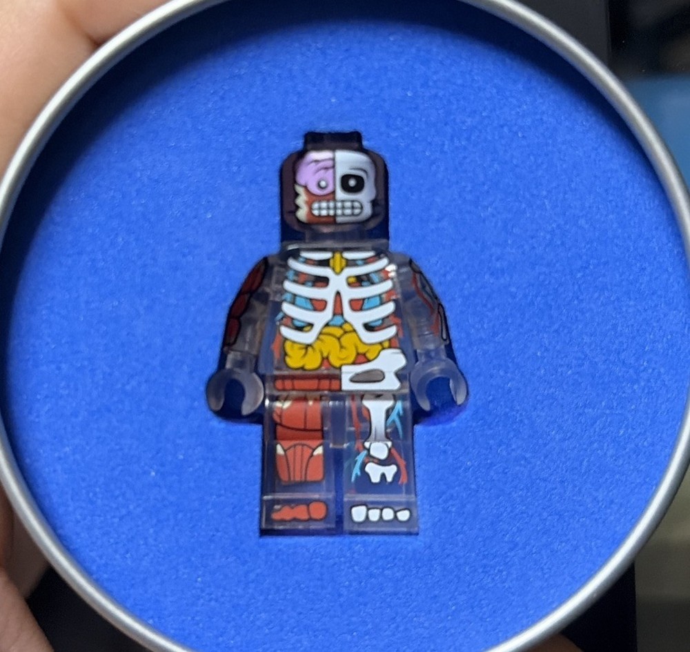 Citizen Brick The Visible Man