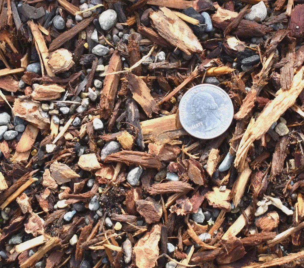 Dryland/High Elevation Conifer Potting Mix