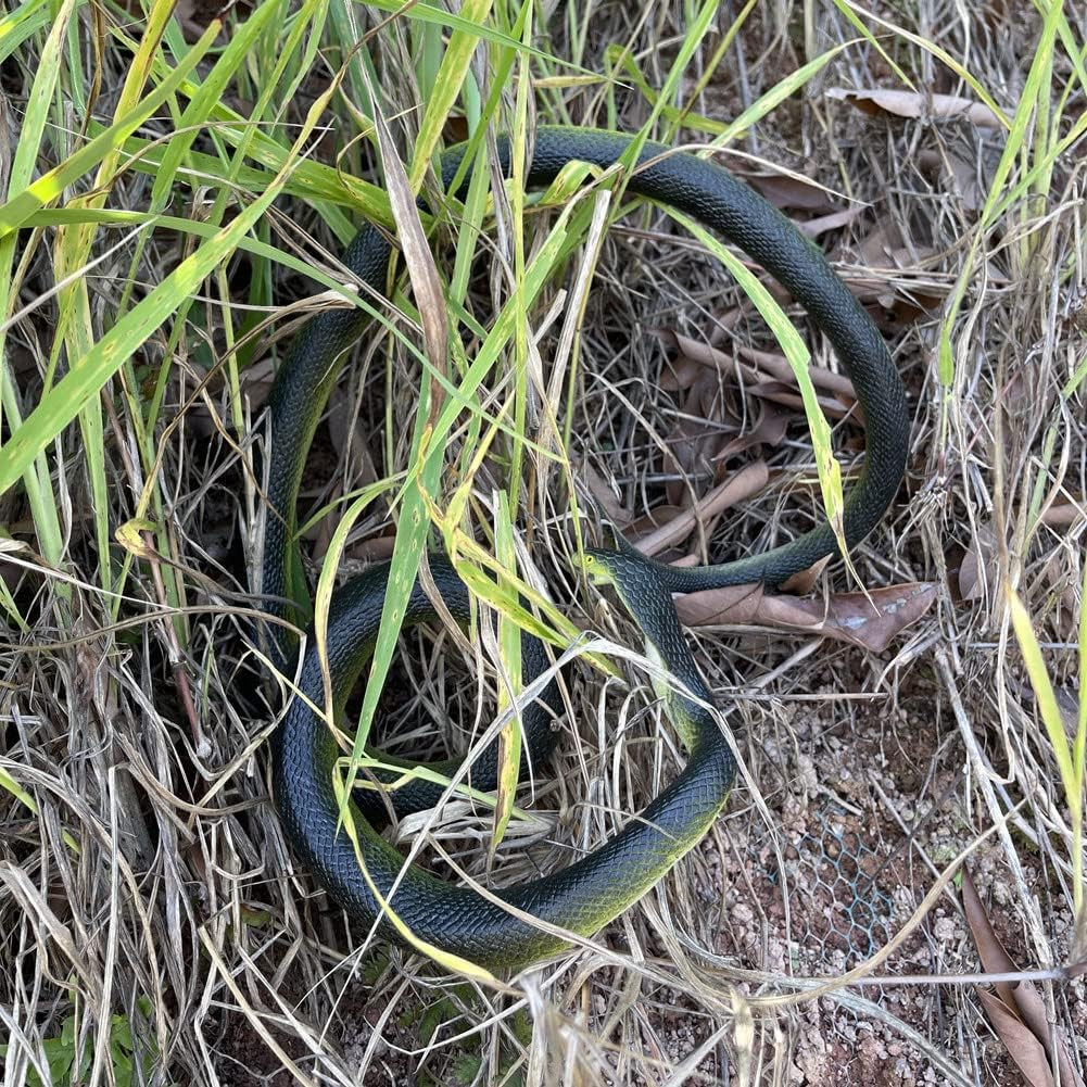 Realistic Rubber Snake - Scary Fake Snake for Bird Deterrent, Large Black Cobra
