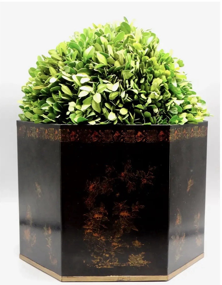 Italian Regency Style Toleware Jardinieres Preserved Boxwood Pair Gumps