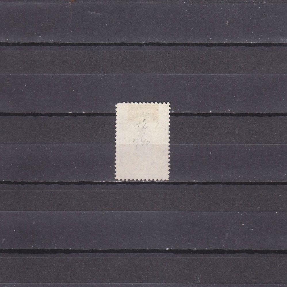 Zemstvo Russia local Penza 1899 Sch 2 MNG