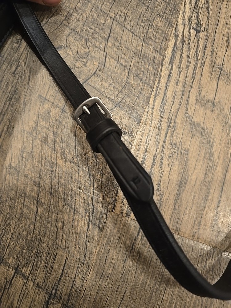 Riding Reins