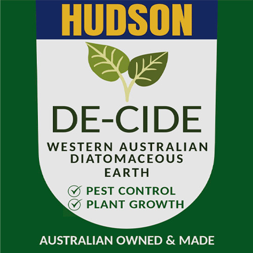 DIATOMACEOUS EARTH 1 KG