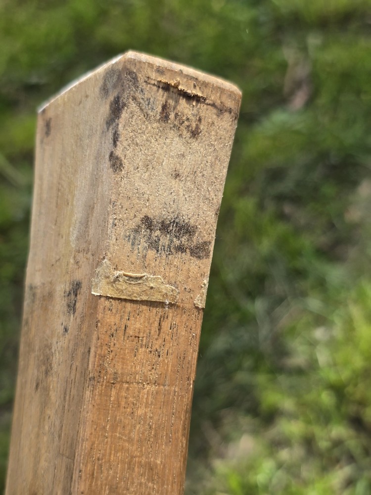 Vintage Adze Handle Old Tool Adze Handle 32" Long