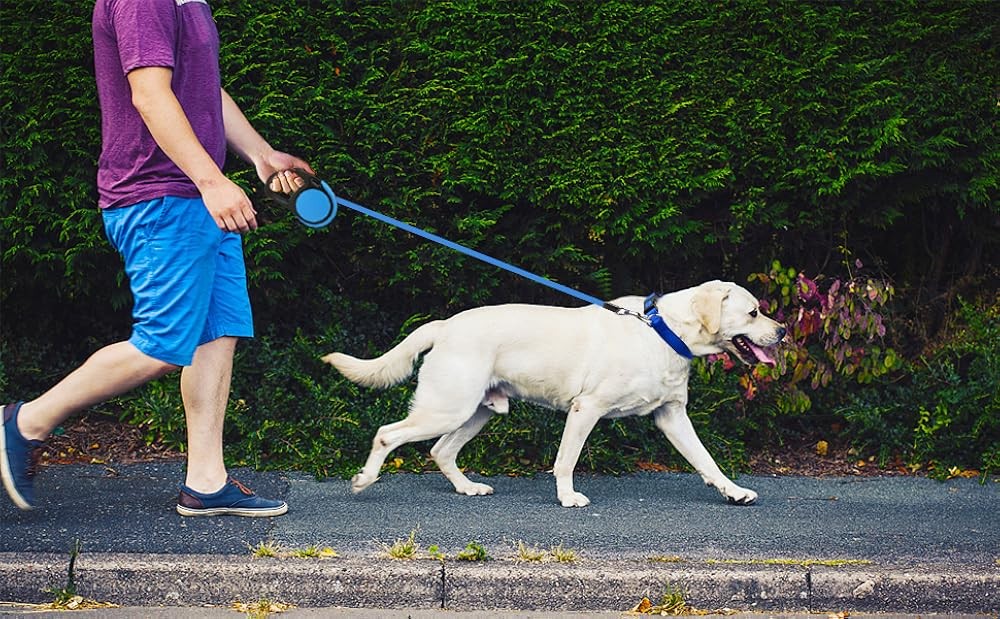 Retractable Dog Leash, No Leash Retractable for Small