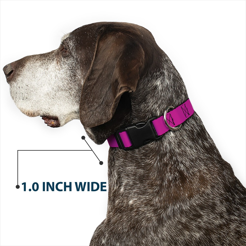 Plastic Clip Collar Fuchsia Medium 11-16.5"