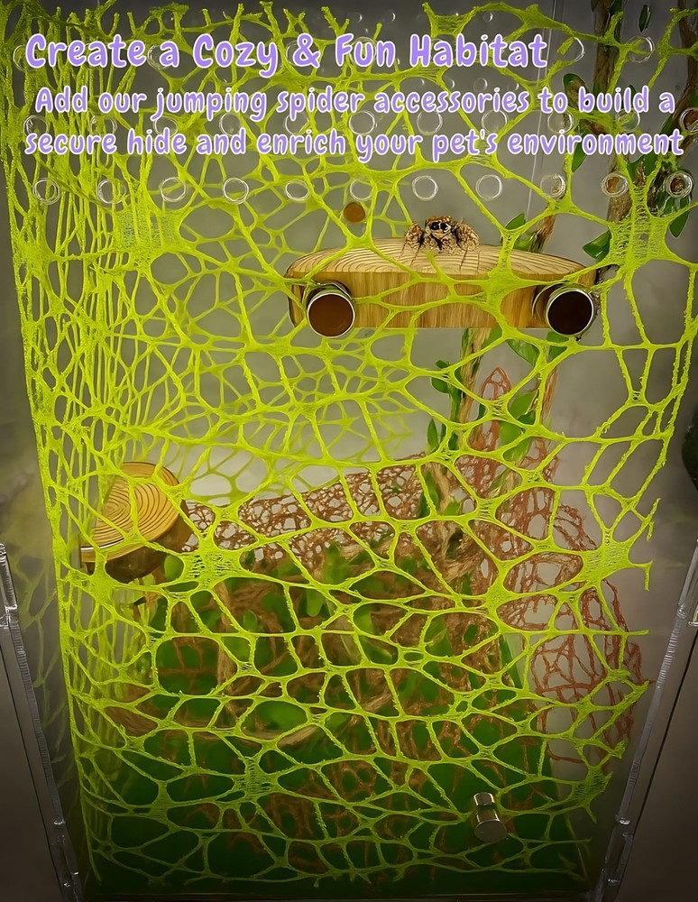 Multi-Functional Jumping Spider Habitat Décor Kit, Small, Brown, Light green