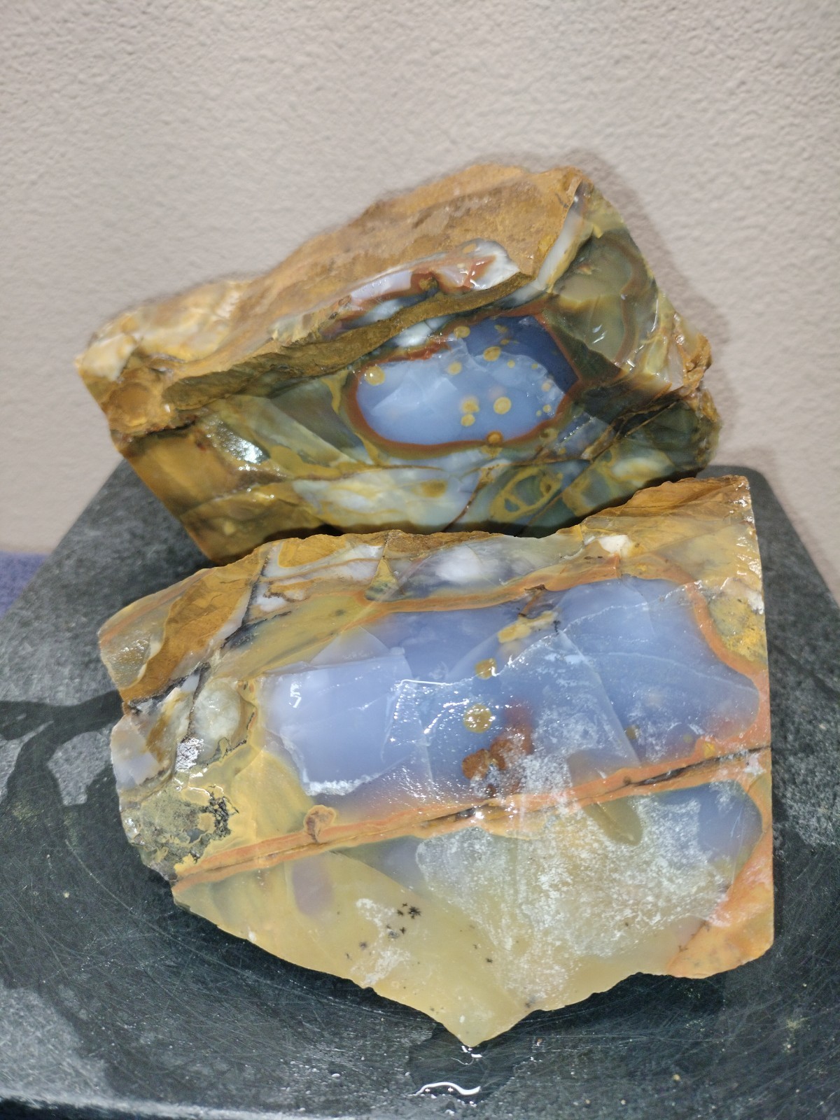 8.2LB 💙 Blue Ice Polka Dot Agate 2pc Rough Lot Ashwood, OR Cabochon Stock #24