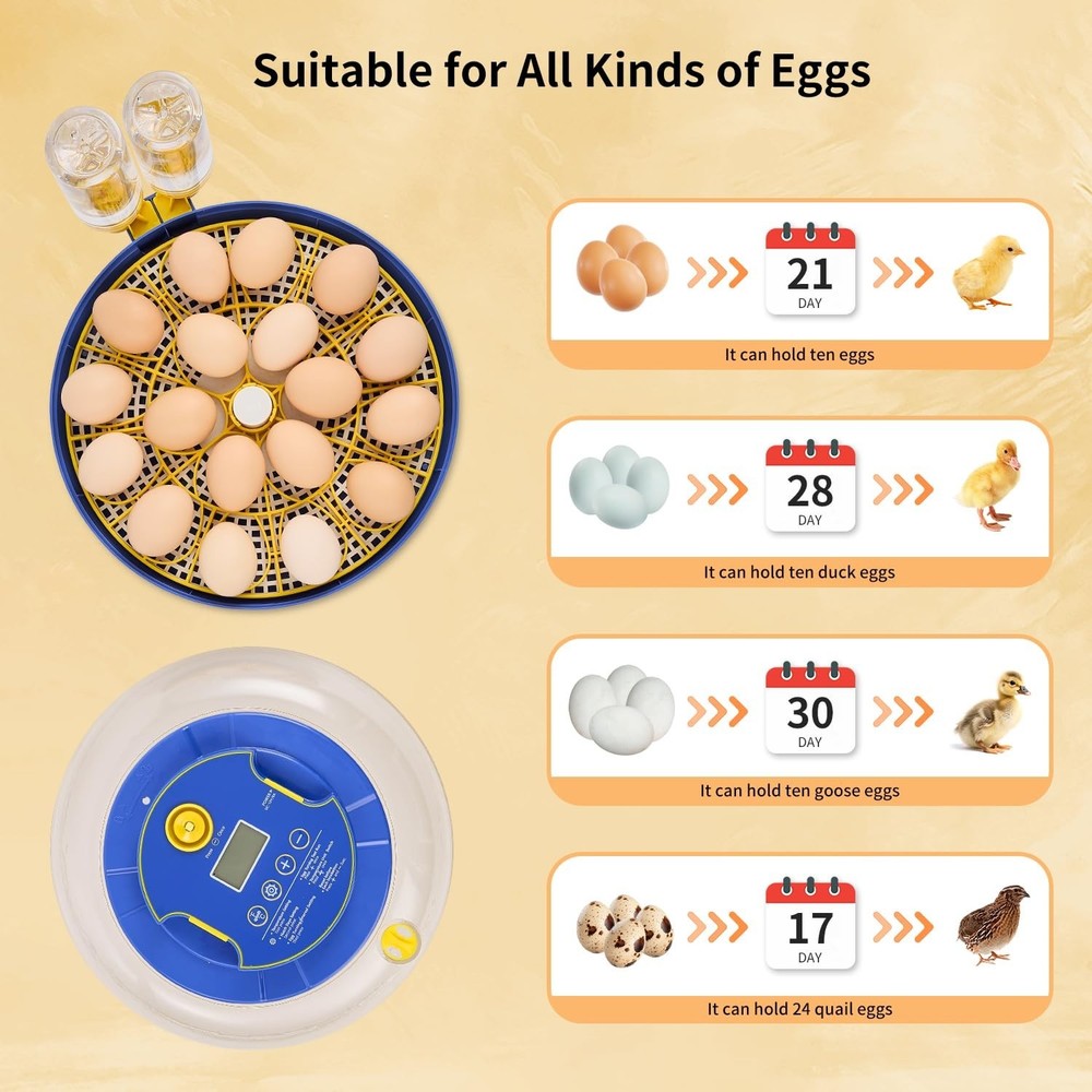 Incubators for Hatching Eggs,18 Egg Incubator with Automatic Egg Turning and ...