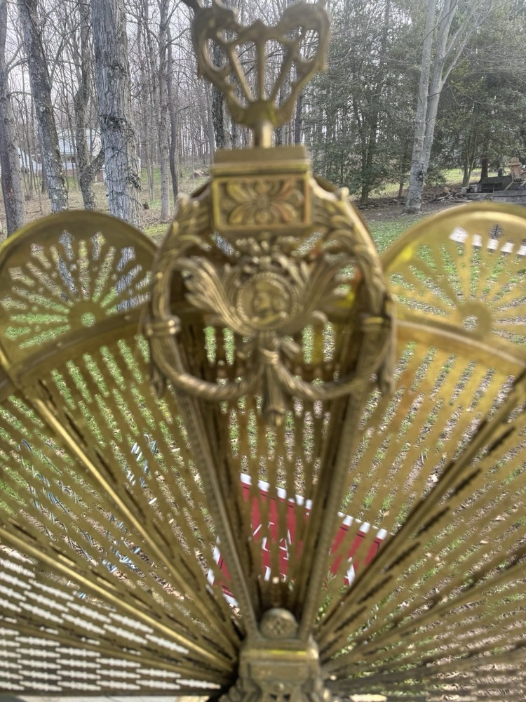 Vintage Peacock Fireplace Screen Folding Fan *read