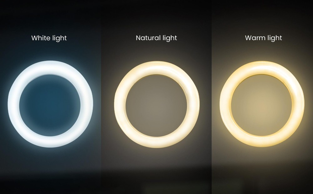 iDance LED Ring Light with Stand, 8", Portable Desk Ring Light with Cell...