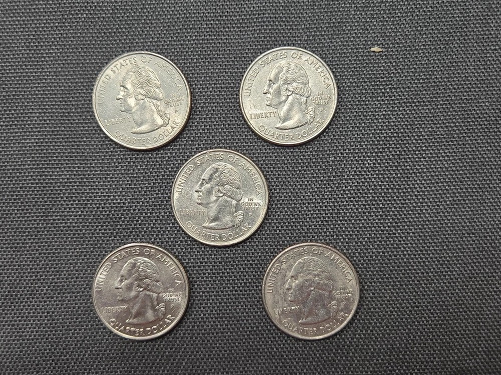 2004 P Florida State Quarter (C901)