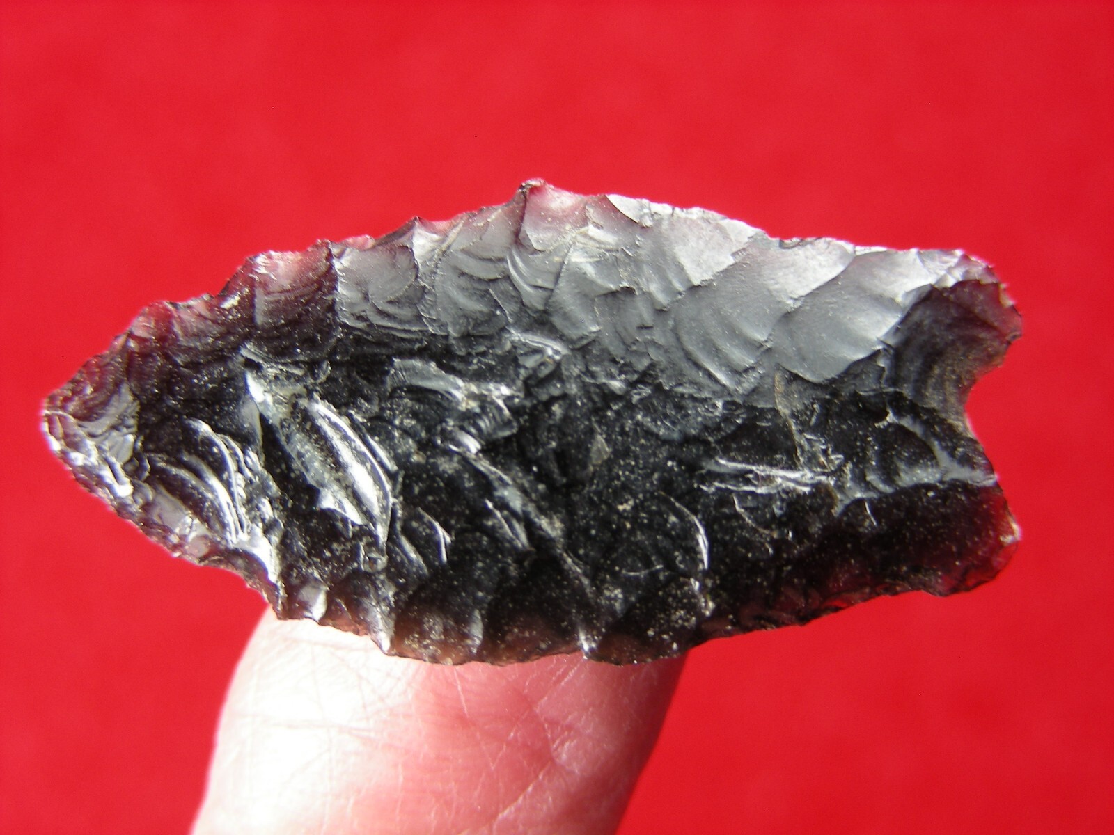 HUMBOLDT 1-1/2" CALIFORNIA Authentic Indian Relics