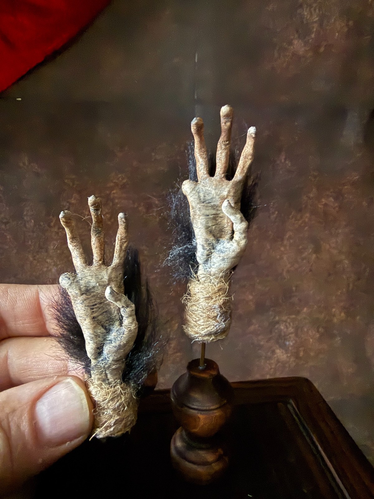 Cursed Monkey Paw for curiosity cabinet unmounted