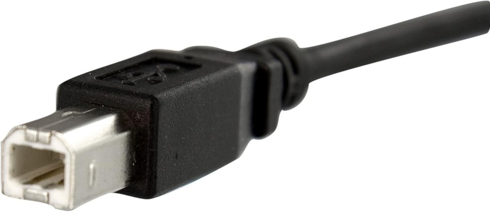 StarTech.com 1 ft Panel Mount USB Cable B to B - 1 Count (Pack of 1), Black