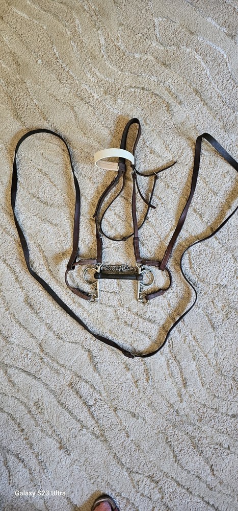 Vintage Bridle With Rubber Bit