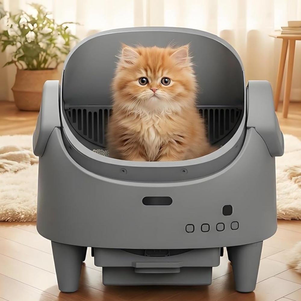 Smart Automatic Litter Box for Multi Cats, App Control & Adjustable Entry Height