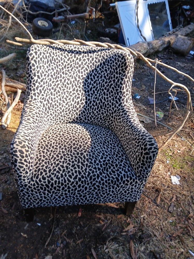 Cheetah Leopard Print