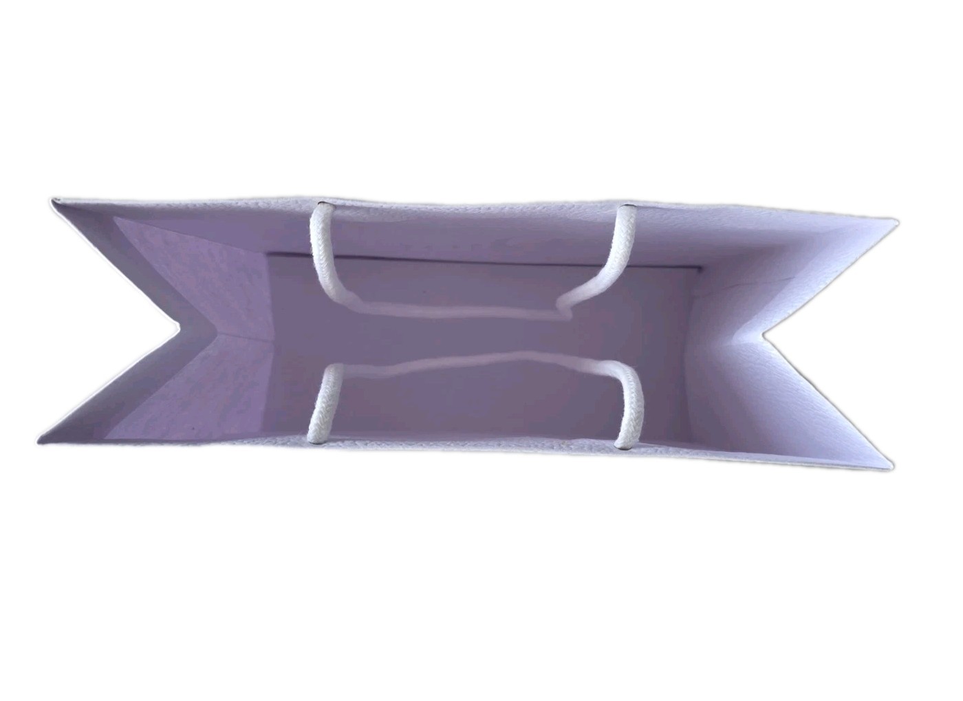 Dior White Luxury Shopping Gift Bag Gold Logo Rope Handles Authentic