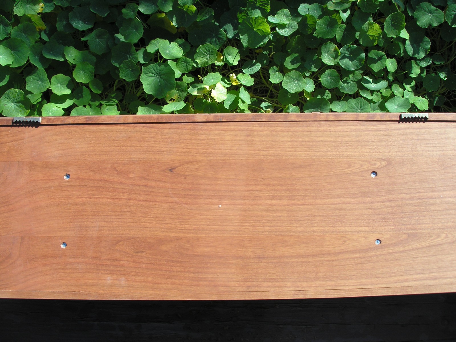 USMC Mameluke nco sword ww2 sword display rack Marine plaque