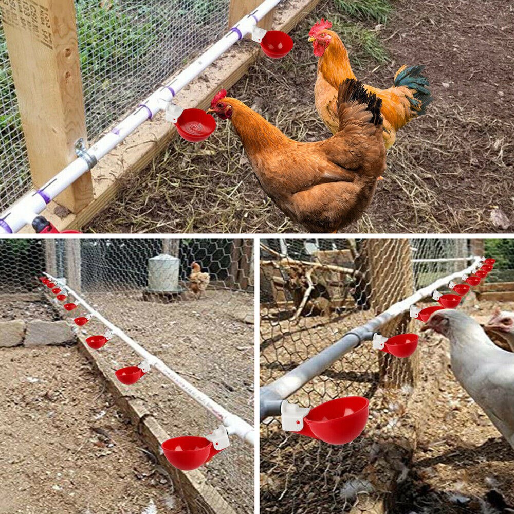 8 PCS Automatic Water Cups Poultry Drinker Waterer Chicken Duck Quail Drinking