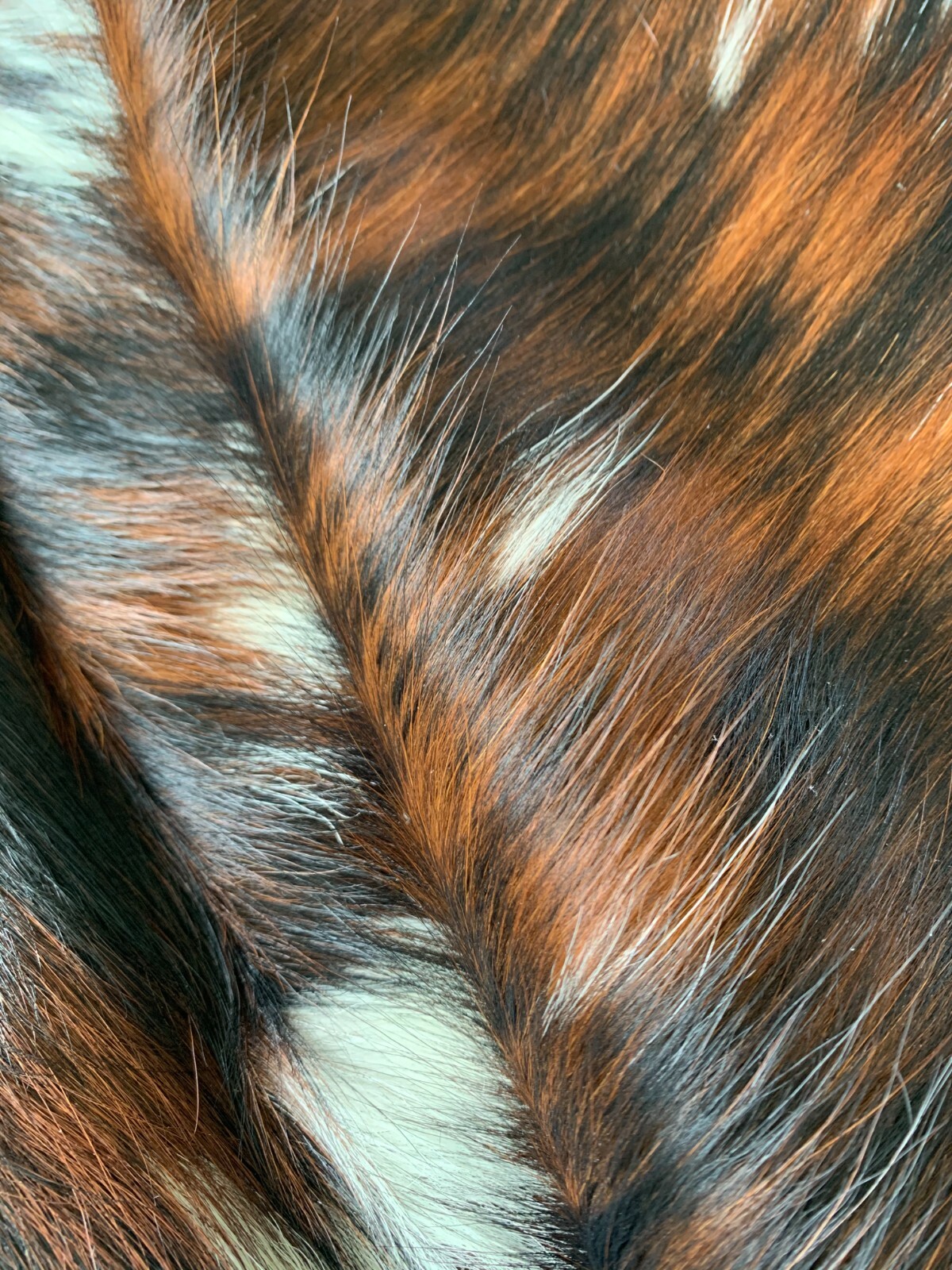 Tricolor Cow Hide Real Skin Leather Rug - Average Size 6X6 feet New Cowhide Rug