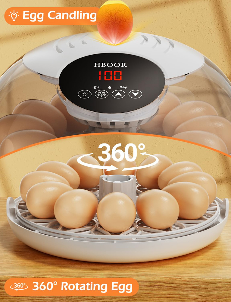 Incubators for Hatching Eggs, 12 Egg Incubator with Automatic Egg Turning and Te