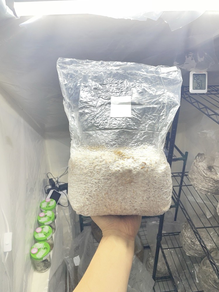 Mushroom Spawn Bag for Cultivation Mycelium