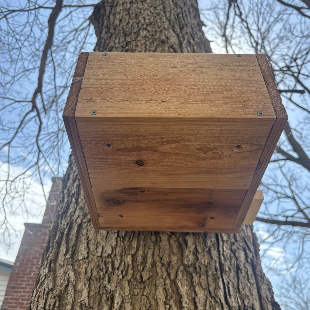 Large Solid Cedar Backyard Squirrel House Nesting Box - Wooden W Preditor Guard