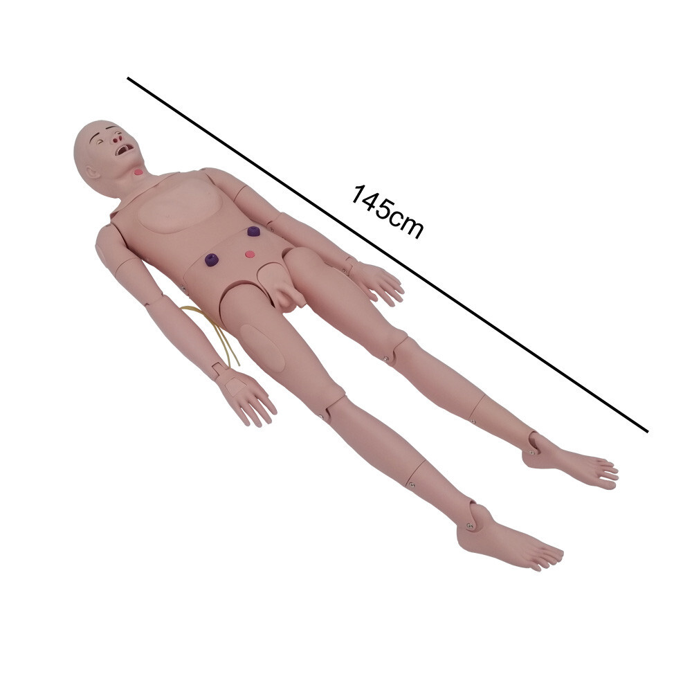 Patient Care Burn Teaching Model 24 Wound Modules Care NursingTraining Model
