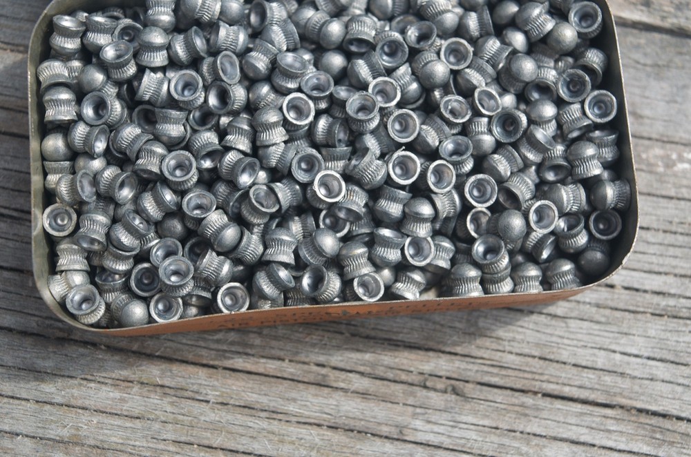 Webley .22 Special Pellets No. 2 Bore