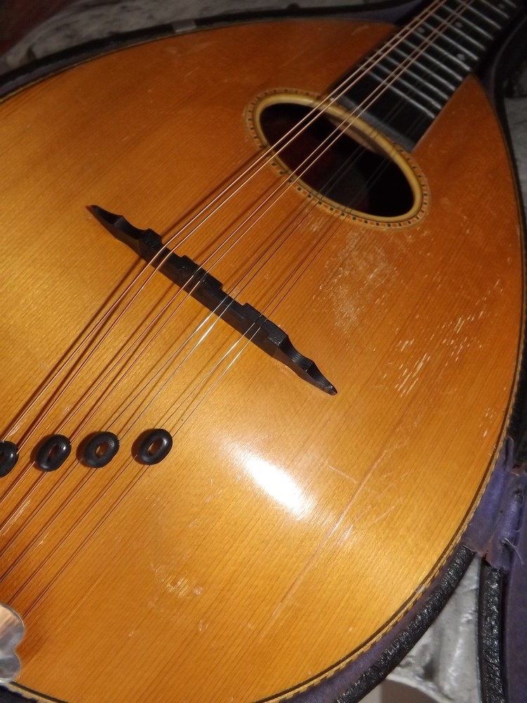Rare Weymann Mandolute 100yrs old
