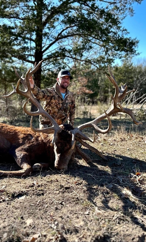 Fully Guided Red Stags Hunts In  Oklahoma!