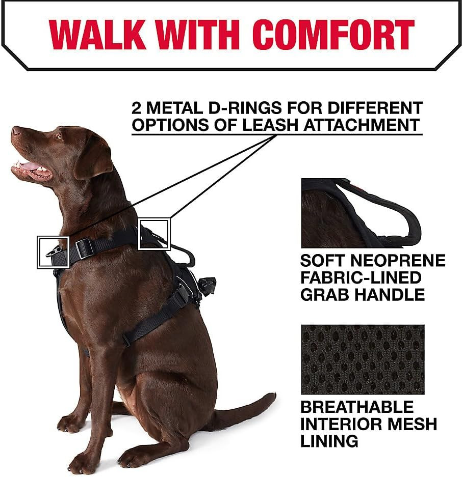 Durable Black Waste Bag Harness for Medium Pets - Easy Cleanup Solution
