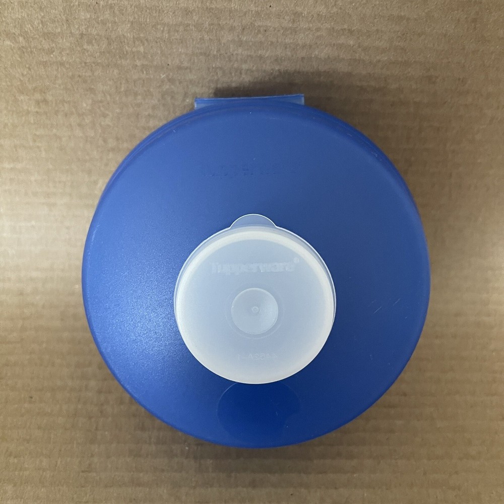 Tupperware Bagel Keeper Salad Sandwich Snack Container Blue #4440 + Mini Smidget