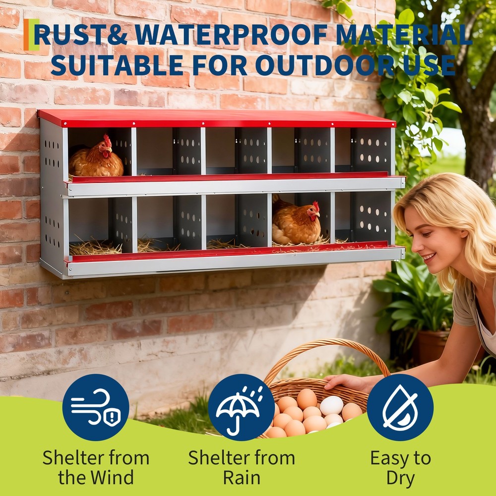 10 Holes Chicken Nesting Boxes Wall-Mount Roll Away Chicken Egg Laying Box