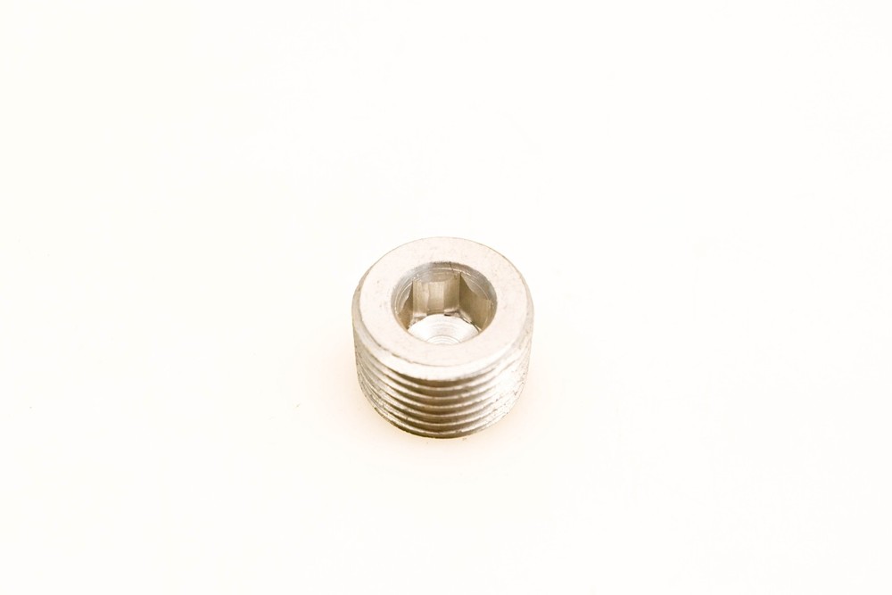 OMC 309961 Drain Plug Screw NOS