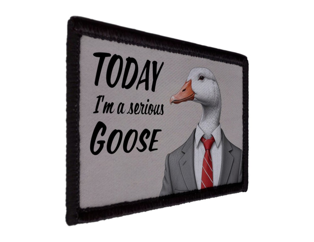 Today I'm a Serious Goose Patch Meme Funny Morale Hook [sub]