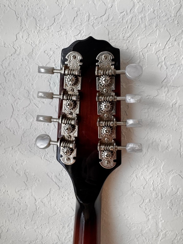 Fender FM-100 8-String Mandolin Sunburst Soft Case + Tuner + Strap + Book + More