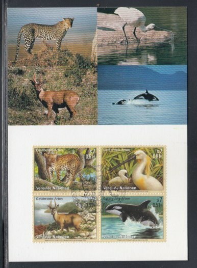 UN VIENNA Leopard, Spoonbill, Huemal & Killer Whale MAXIMUM CARD